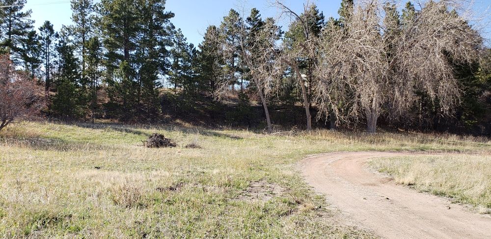 Land For Sale: 2290 Old Ranch Rd, Colorado Springs, CO 80908